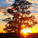 Image for article titled 45 Different Views of the Summer Solstice